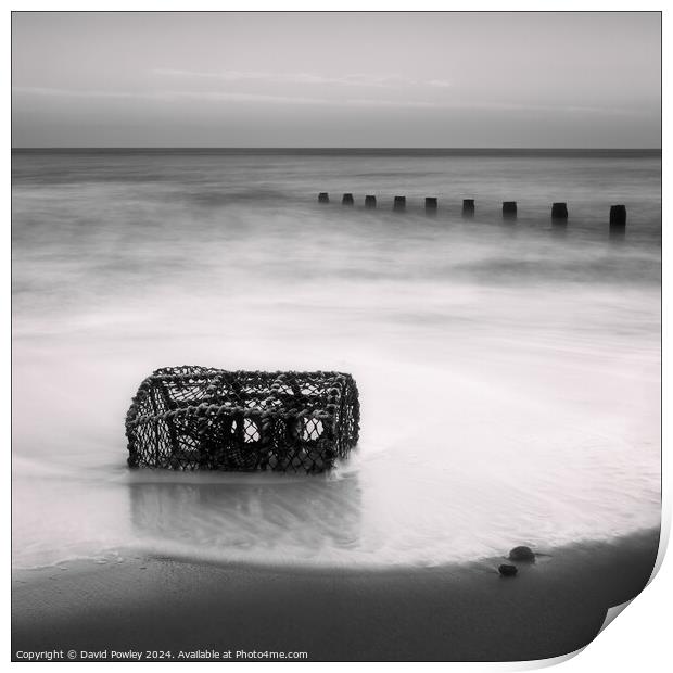 Washed Up On Cromer Beach Print by David Powley