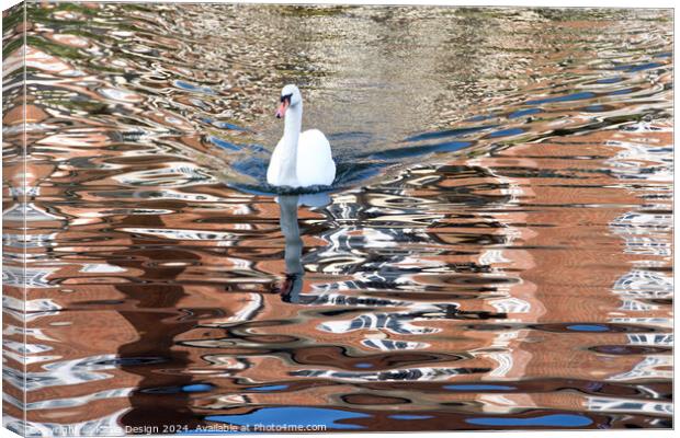 Swan River Reflections Canvas Print by Kasia Design
