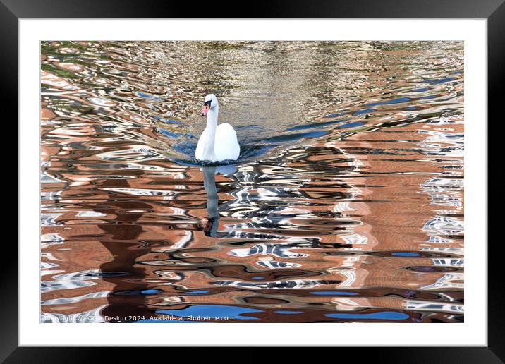 Swan River Reflections Framed Mounted Print by Kasia Design