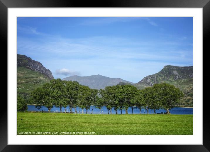 A Tree's Family Photo Framed Mounted Print by Luke Griffin