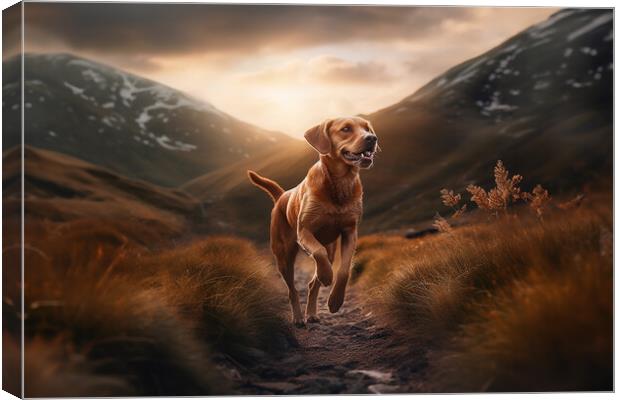 Red Lab Canvas Print by Picture Wizard