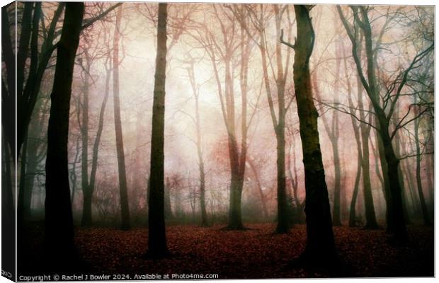 Dark Woods Canvas Print by RJ Bowler