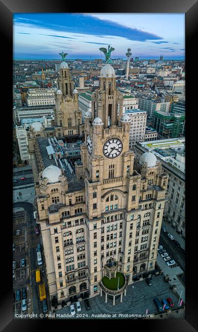 The Royal Liver Building Framed Print by Paul Madden