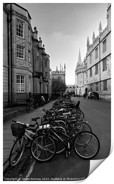 The Bicycles  Of Oxford Print by Sheila Ramsey