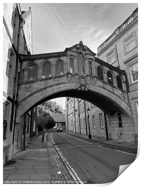 Hertford Bridge Oxford Print by Sheila Ramsey