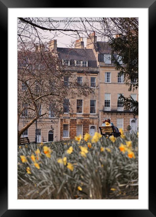 Royal Avenue Bath Daffodils  Framed Mounted Print by Duncan Savidge