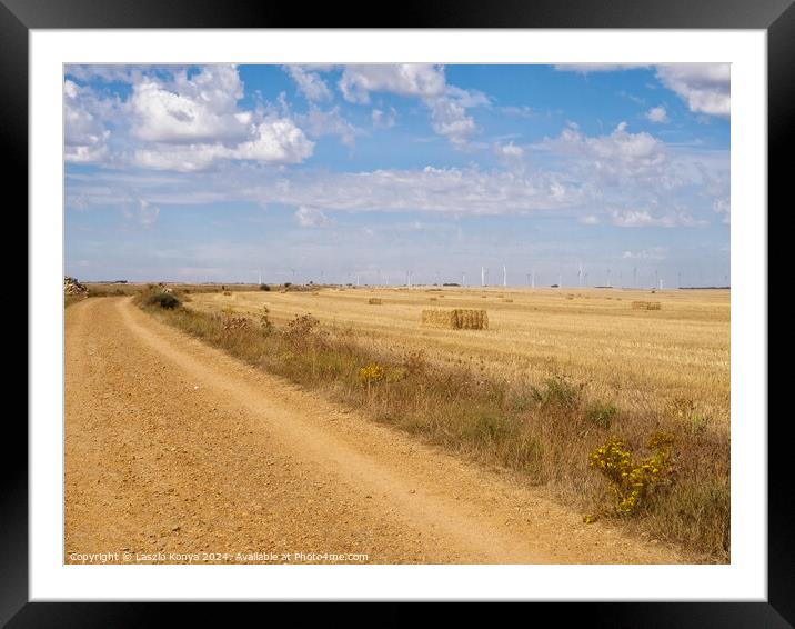 Dirt road through the Meseta - Hornillos del Camino Framed Mounted Print by Laszlo Konya