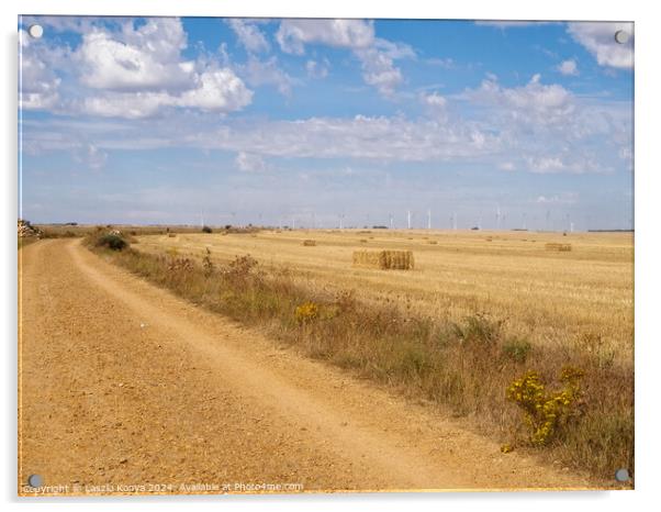 Dirt road through the Meseta - Hornillos del Camino Acrylic by Laszlo Konya