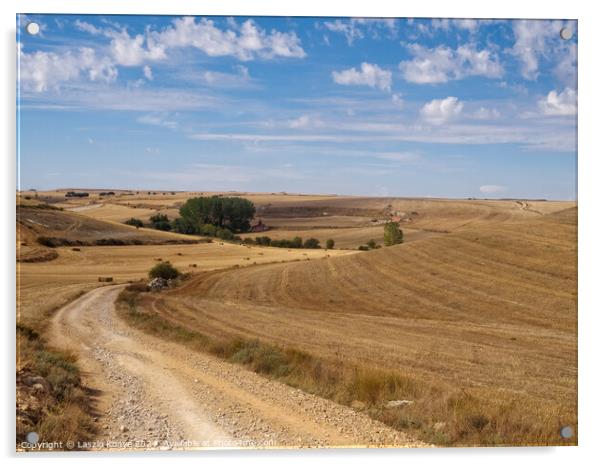 Curving dirt road through the Meseta - Hornillos del Camino Acrylic by Laszlo Konya