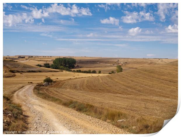 Curving dirt road through the Meseta - Hornillos del Camino Print by Laszlo Konya