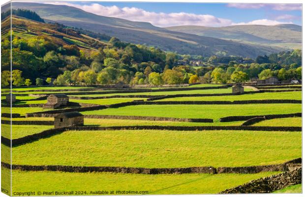 Swaledale Yorkshire Dales Barns and Stone Walls Canvas Print by Pearl Bucknall
