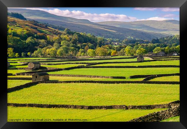 Swaledale Yorkshire Dales Barns and Stone Walls Framed Print by Pearl Bucknall