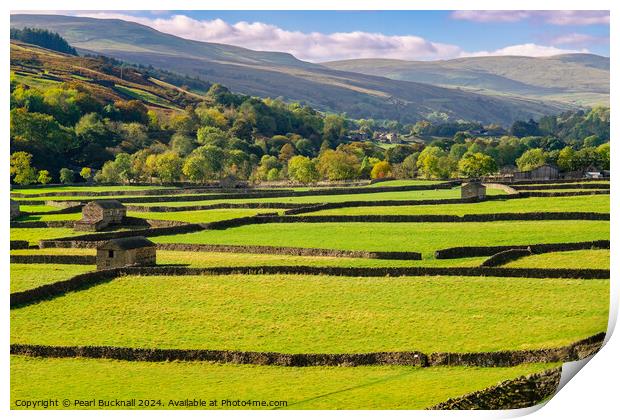 Swaledale Yorkshire Dales Barns and Stone Walls Print by Pearl Bucknall