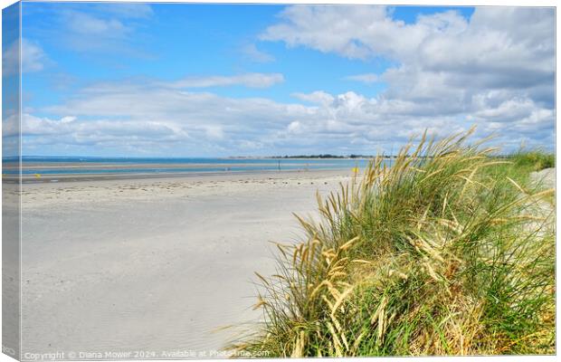 West Wittering Beach and Dunes Canvas Print by Diana Mower