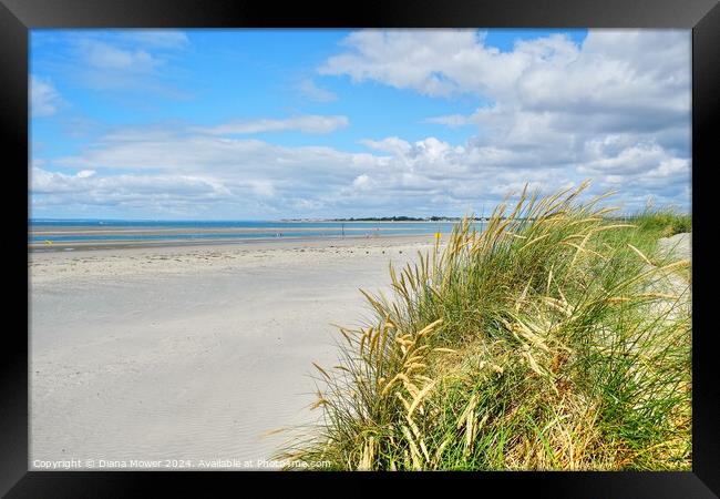 West Wittering Beach and Dunes Framed Print by Diana Mower