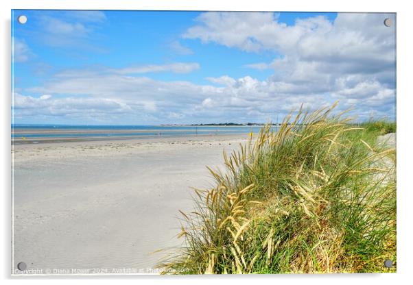 West Wittering Beach and Dunes Acrylic by Diana Mower