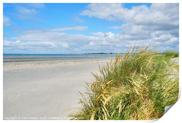 West Wittering Beach and Dunes Print by Diana Mower