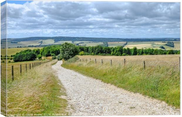 The Trundle South Downs View Canvas Print by Diana Mower