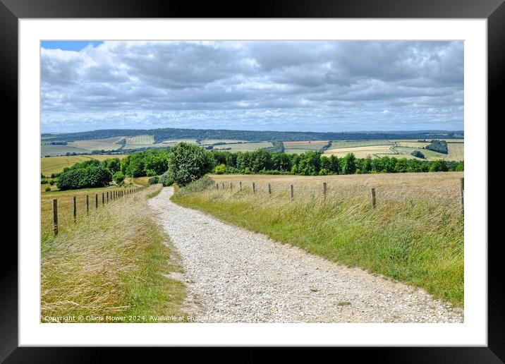 The Trundle South Downs View Framed Mounted Print by Diana Mower