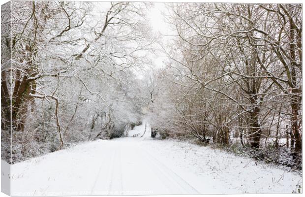 Countryside Winter Canvas Print by Stephen Young