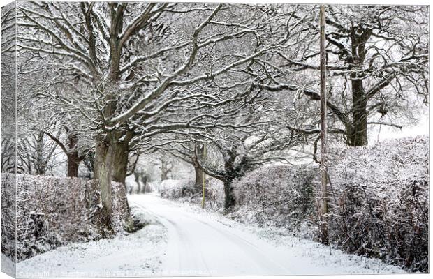 Rural Countryside Winter Lane Canvas Print by Stephen Young
