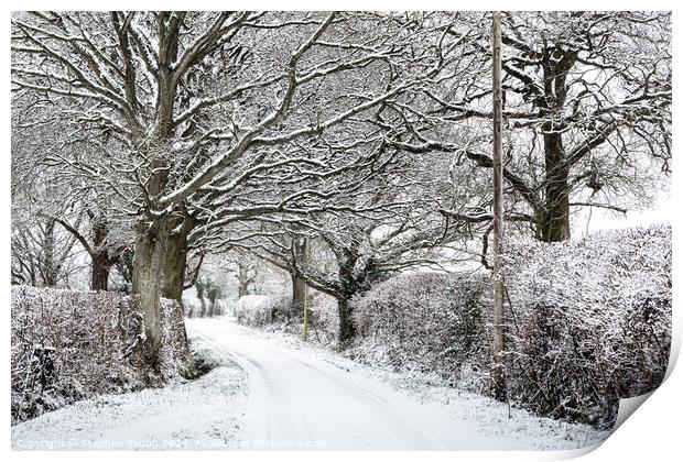 Rural Countryside Winter Lane Print by Stephen Young