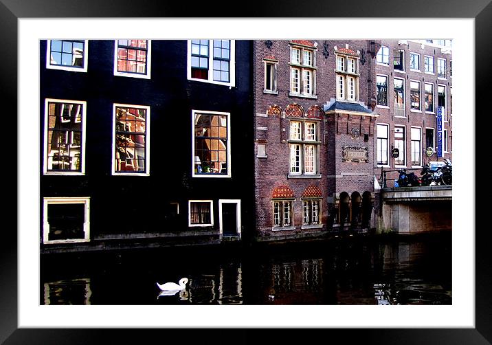 Amsterdam Framed Mounted Print by barbara walsh