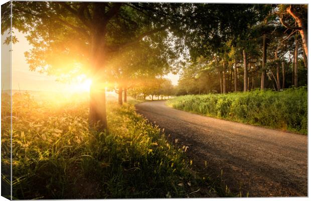 Beautiful country lane sunrise with trees in Norfo Canvas Print by Simon Bratt LRPS