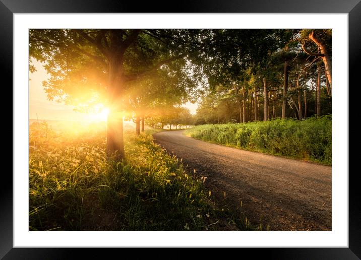 Beautiful country lane sunrise with trees in Norfo Framed Mounted Print by Simon Bratt LRPS