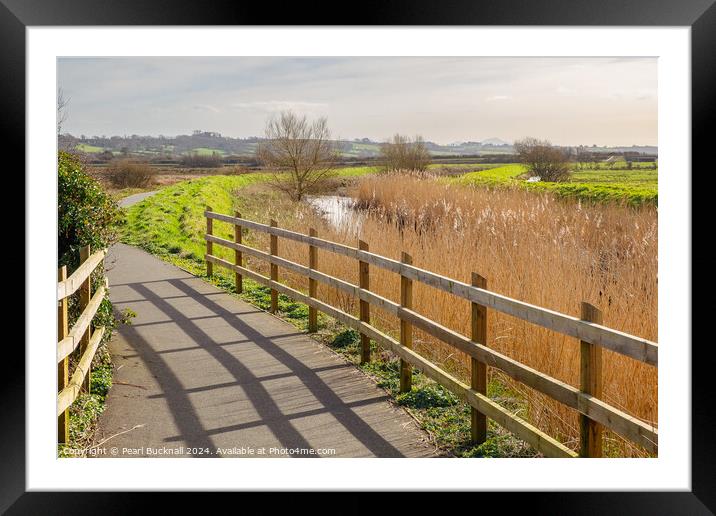 Lon Las Cefni Cycle Path Anglesey Framed Mounted Print by Pearl Bucknall