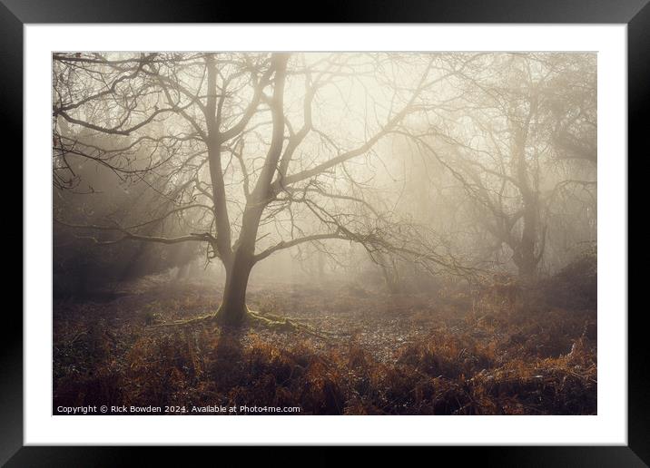 Woodland Dream Framed Mounted Print by Rick Bowden