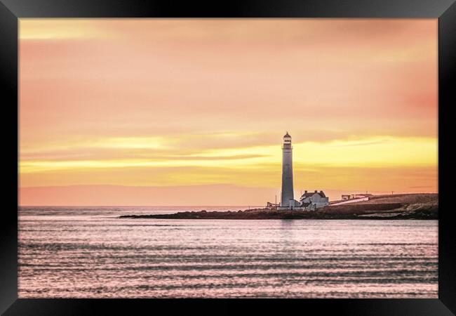 Sunrise at Scurdie Ness Lighthouse in Montrose Framed Print by DAVID FRANCIS