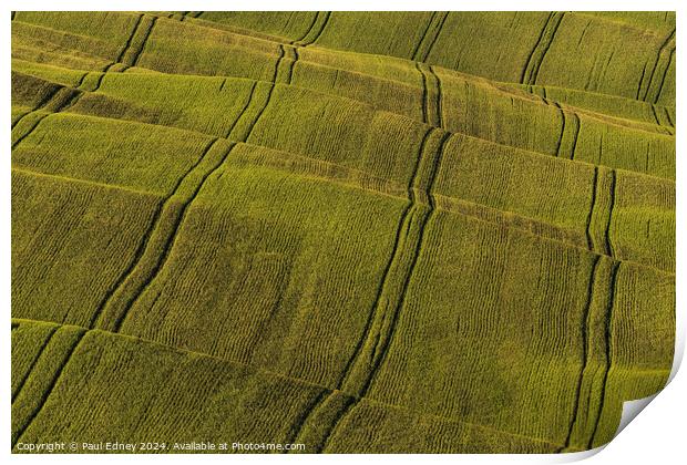 Abstract evening light on farmland in Tuscany Print by Paul Edney