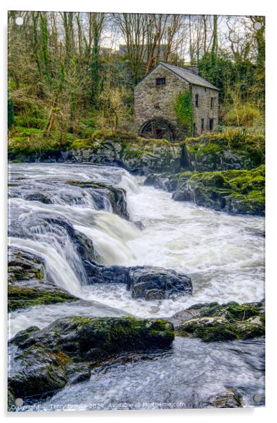 Cenarth Waterfall and Flour Mill Acrylic by Terry Brooks