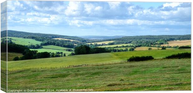 Kennel Hill South Downs Landscape View Canvas Print by Diana Mower