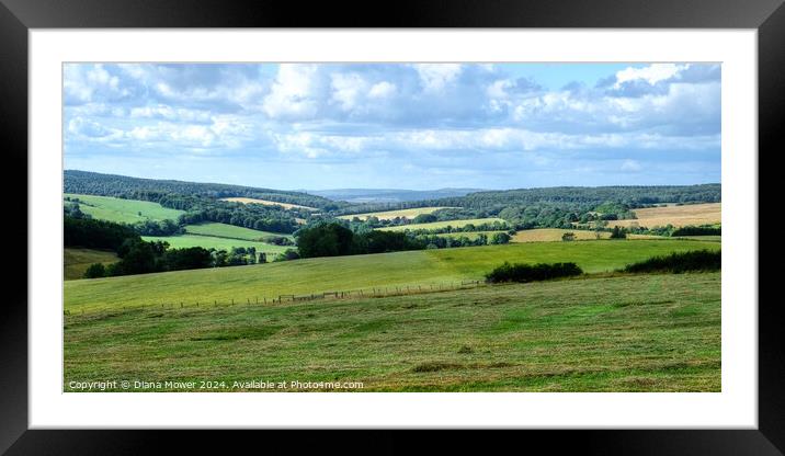 Kennel Hill South Downs Landscape View Framed Mounted Print by Diana Mower