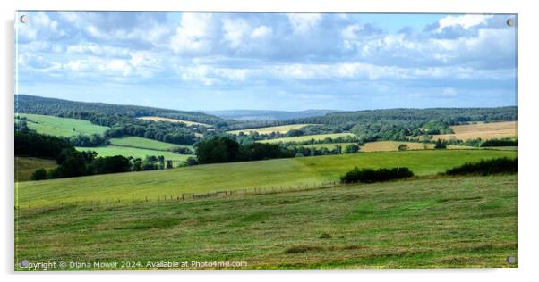 Kennel Hill South Downs Landscape View Acrylic by Diana Mower