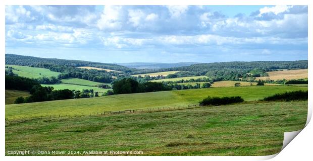 Kennel Hill South Downs Landscape View Print by Diana Mower