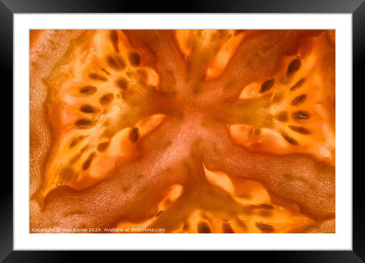 Tomato slice abstract Framed Mounted Print by Paul Edney