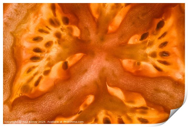 Tomato slice abstract Print by Paul Edney