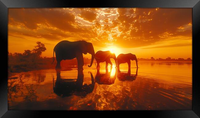 Elephants in the African Sunset Framed Print by T2 