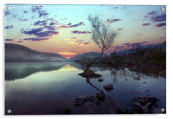 Llyn Padarn Sunset Acrylic by Tom McPherson