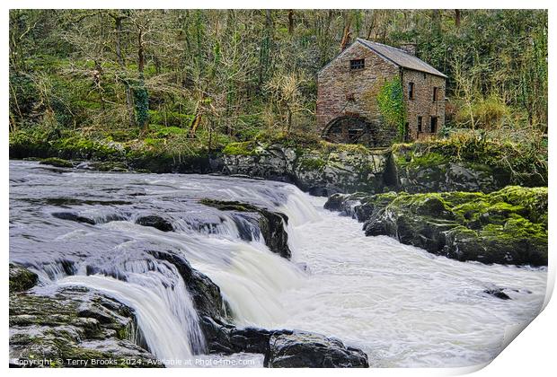 Cenarth Waterfall and Flour Mill Print by Terry Brooks