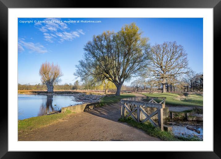 Cycle and footpath around Bushy Park ponds Framed Mounted Print by Kevin White