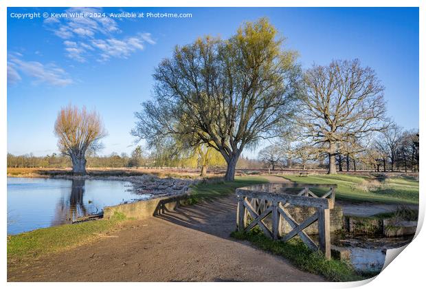 Cycle and footpath around Bushy Park ponds Print by Kevin White