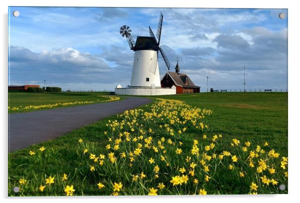 Daffodils, Lytham Windmill  Acrylic by Michele Davis