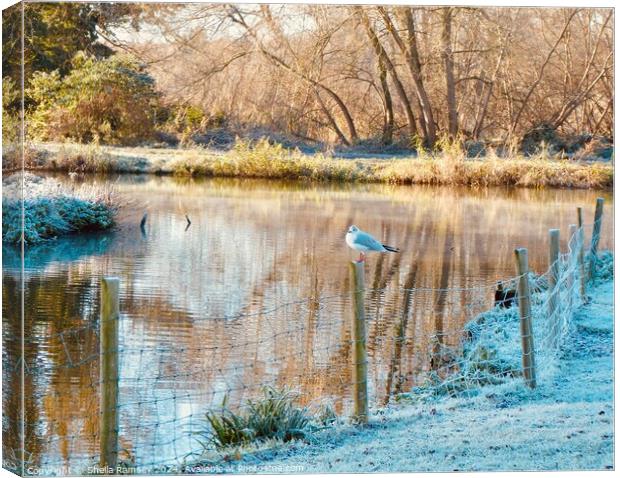 A Cold Morning by The River Canvas Print by Sheila Ramsey