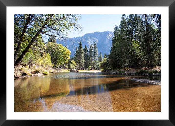  Yosemite National Park Framed Mounted Print by Derek Daniel