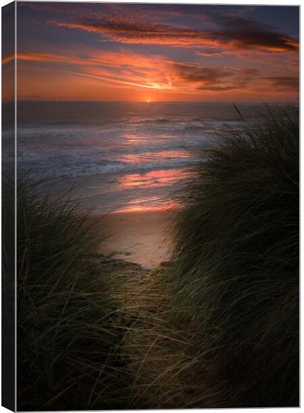 Hauxley Dunes Sunrise Canvas Print by Bear Newbury