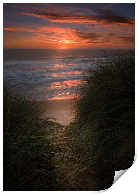 Hauxley Dunes Sunrise Print by Bear Newbury